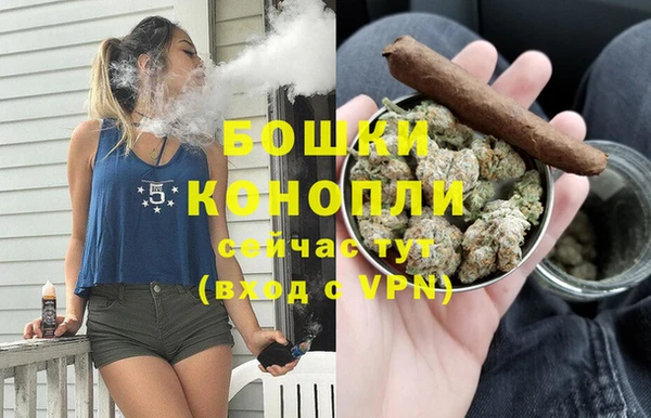 стафф Бородино